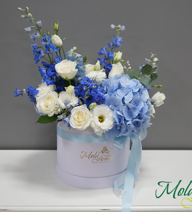 Box with blue hydrangea, ''Blue Lagoon'' photo 394x433